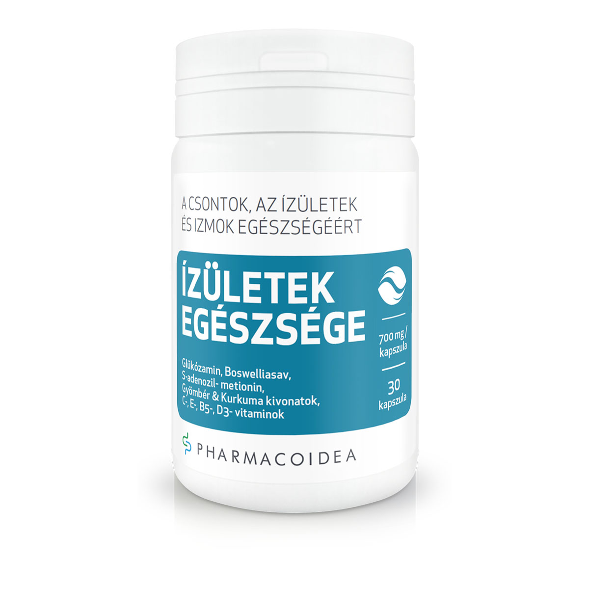 ÍZÜLETEK EGÉSZSÉGE